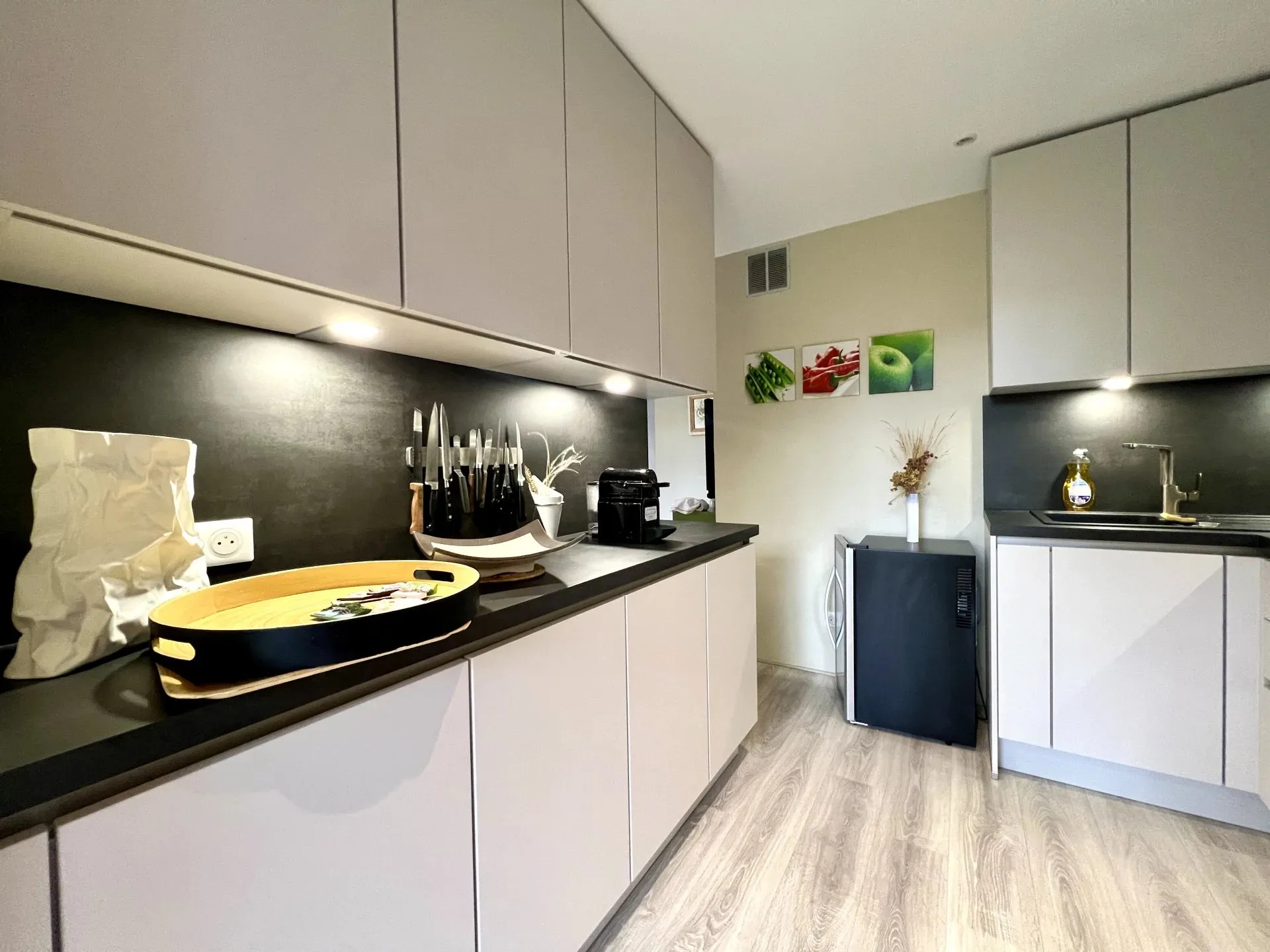appartement 2 pièces à Cagnes-sur-Mer (06800) — photo 2